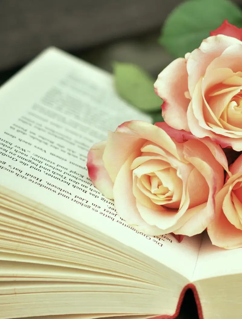 A soft-focus image of a partially open book with pages turned, adorned by delicate pink roses resting on top.